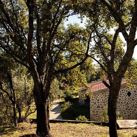 瓜尔达Quinta Dos Sincais住宿加早餐旅馆 外观 照片